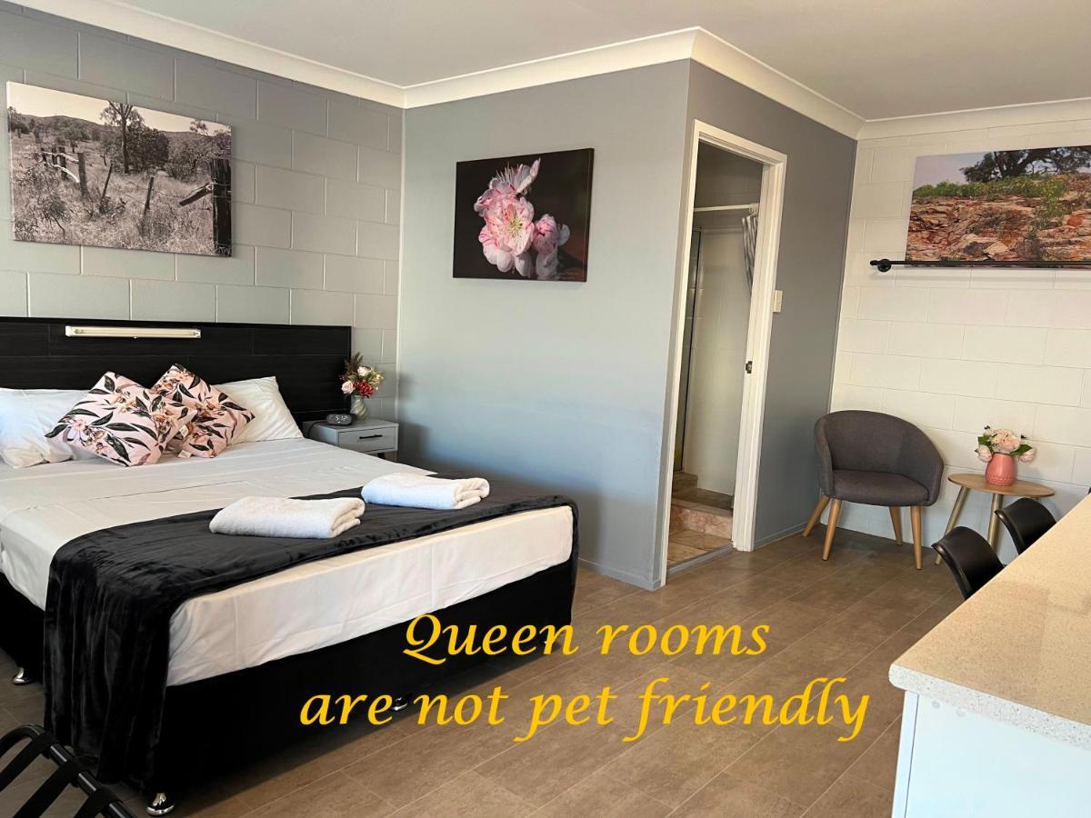 טאונסביל Spanish Lace Motor Inn מראה חיצוני תמונה